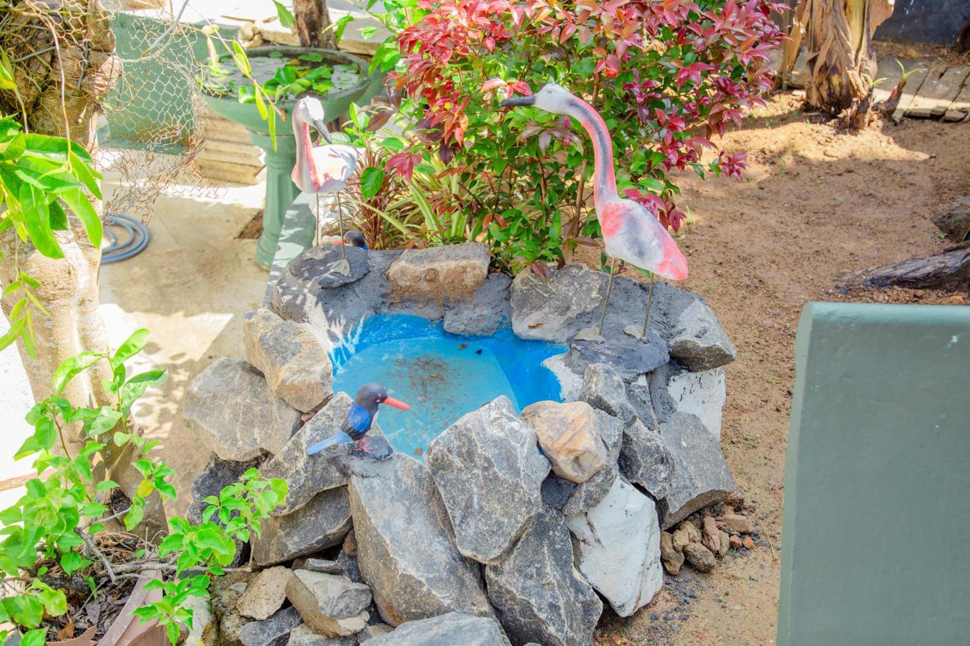Hispaniola Inn Mirissa Ngoại thất bức ảnh